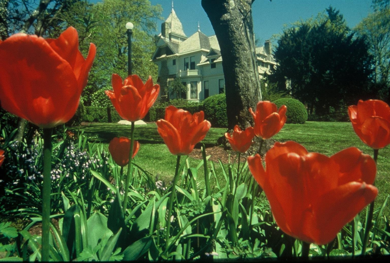 Best Western Plus Mill Creek Inn Salem Servicios foto